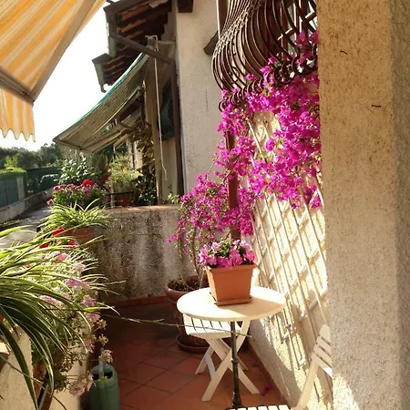 Valentina House Pietrasanta