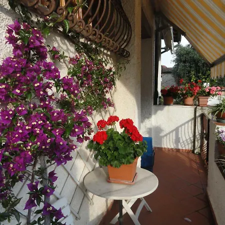 Valentina House Pietrasanta
